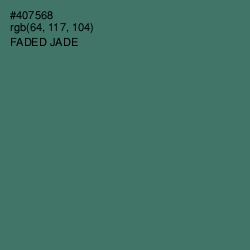 #407568 - Faded Jade Color Image