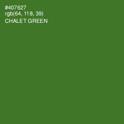 #407627 - Chalet Green Color Image