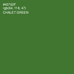 #40762F - Chalet Green Color Image