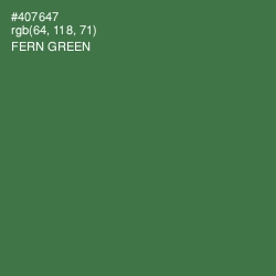 #407647 - Fern Green Color Image