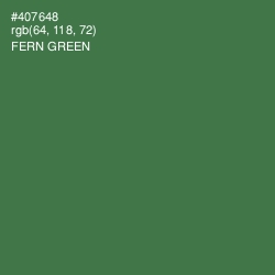 #407648 - Fern Green Color Image