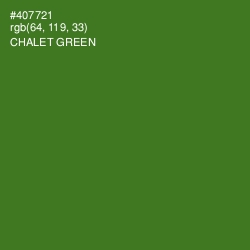 #407721 - Chalet Green Color Image