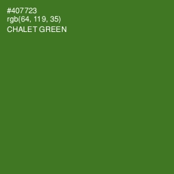 #407723 - Chalet Green Color Image