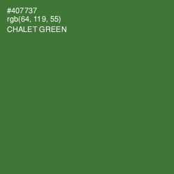 #407737 - Chalet Green Color Image