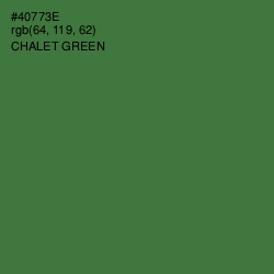 #40773E - Chalet Green Color Image