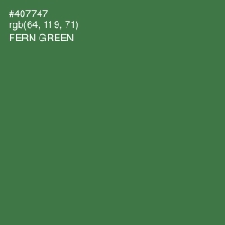 #407747 - Fern Green Color Image