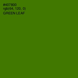 #407800 - Green Leaf Color Image