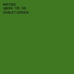 #407822 - Chalet Green Color Image