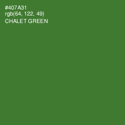 #407A31 - Chalet Green Color Image