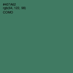 #407A62 - Como Color Image