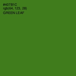 #407B1C - Green Leaf Color Image