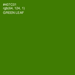 #407C01 - Green Leaf Color Image