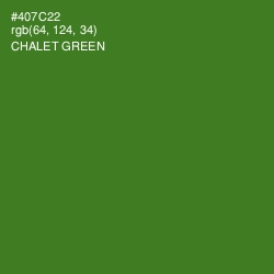 #407C22 - Chalet Green Color Image
