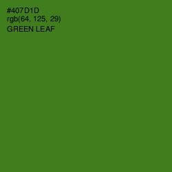 #407D1D - Green Leaf Color Image