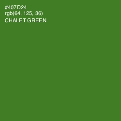 #407D24 - Chalet Green Color Image