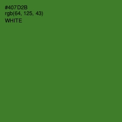 #407D2B - Chalet Green Color Image