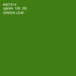 #407E14 - Green Leaf Color Image