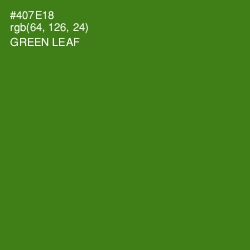 #407E18 - Green Leaf Color Image