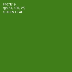 #407E19 - Green Leaf Color Image