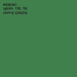 #40804C - Hippie Green Color Image