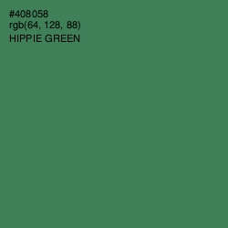 #408058 - Hippie Green Color Image