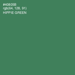 #40805B - Hippie Green Color Image