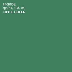 #40805E - Hippie Green Color Image