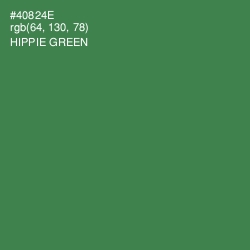 #40824E - Hippie Green Color Image