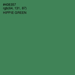 #408357 - Hippie Green Color Image