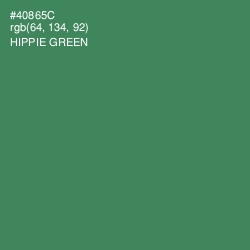 #40865C - Hippie Green Color Image