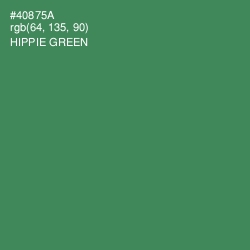 #40875A - Hippie Green Color Image