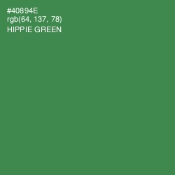 #40894E - Hippie Green Color Image