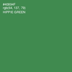 #40894F - Hippie Green Color Image