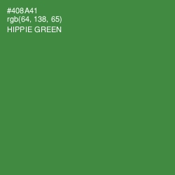 #408A41 - Hippie Green Color Image