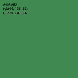 #408A52 - Hippie Green Color Image