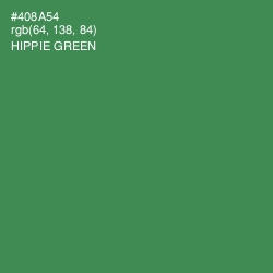 #408A54 - Hippie Green Color Image