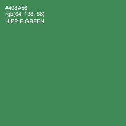 #408A56 - Hippie Green Color Image