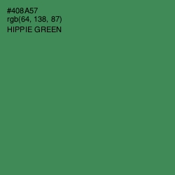 #408A57 - Hippie Green Color Image