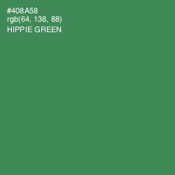 #408A58 - Hippie Green Color Image