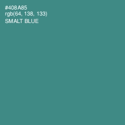 #408A85 - Smalt Blue Color Image