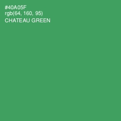 #40A05F - Chateau Green Color Image