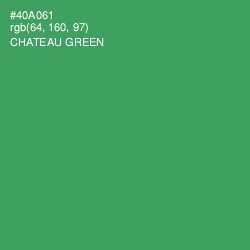 #40A061 - Chateau Green Color Image