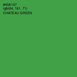 #40A147 - Chateau Green Color Image