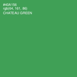 #40A156 - Chateau Green Color Image