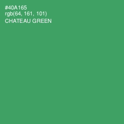 #40A165 - Chateau Green Color Image