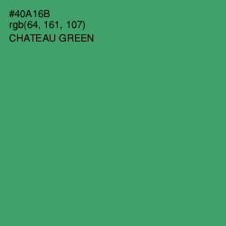 #40A16B - Chateau Green Color Image