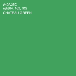 #40A25C - Chateau Green Color Image
