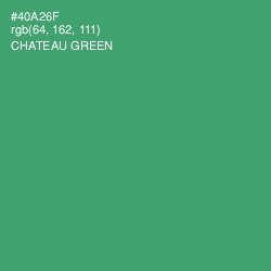 #40A26F - Chateau Green Color Image