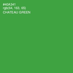 #40A341 - Chateau Green Color Image