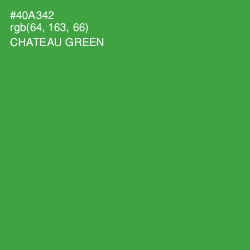 #40A342 - Chateau Green Color Image